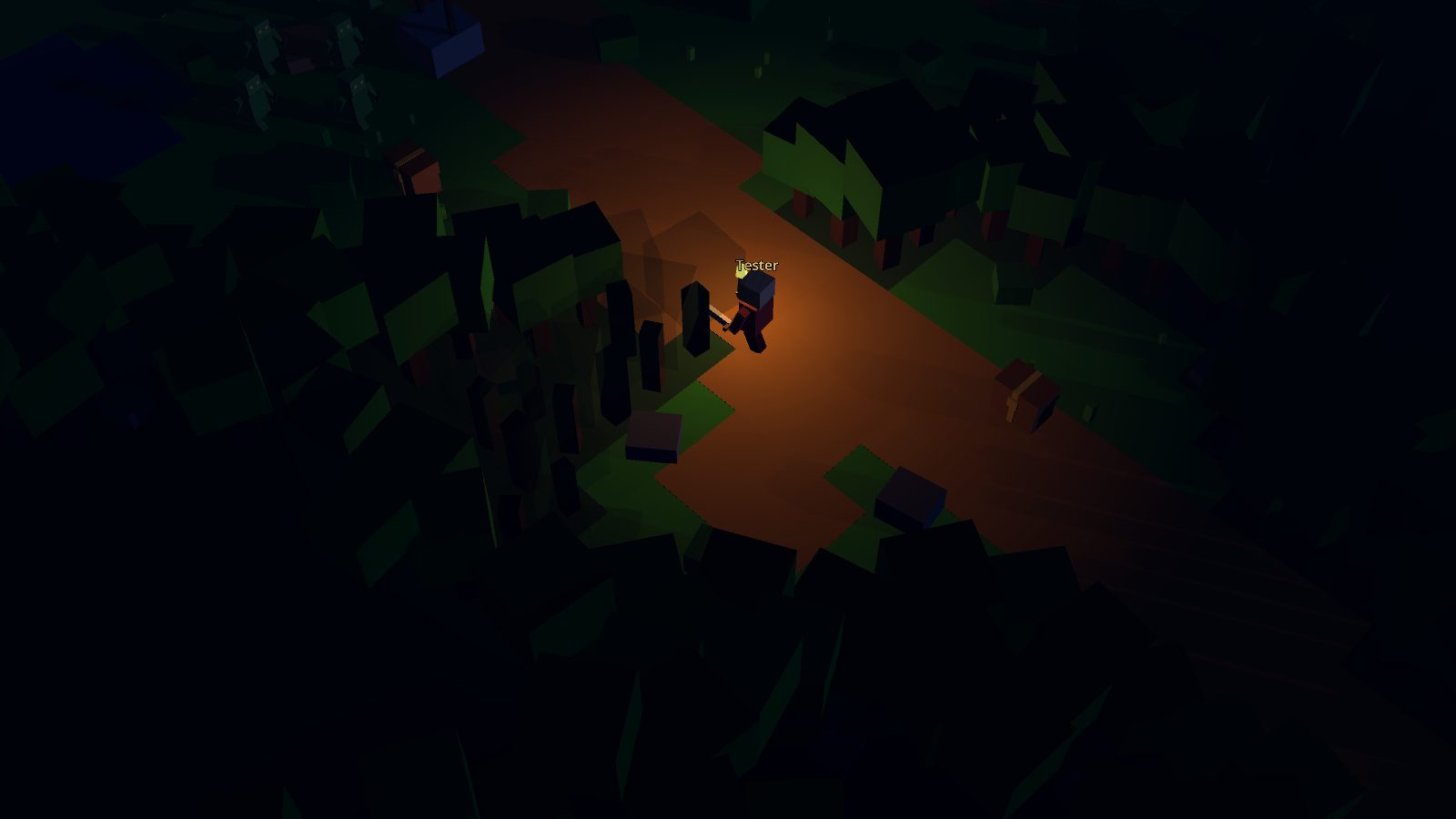Night in the forest with a torch lit